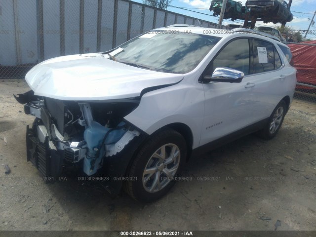 Photo 1 VIN: 2GNAXXEV6L6231629 - CHEVROLET EQUINOX 