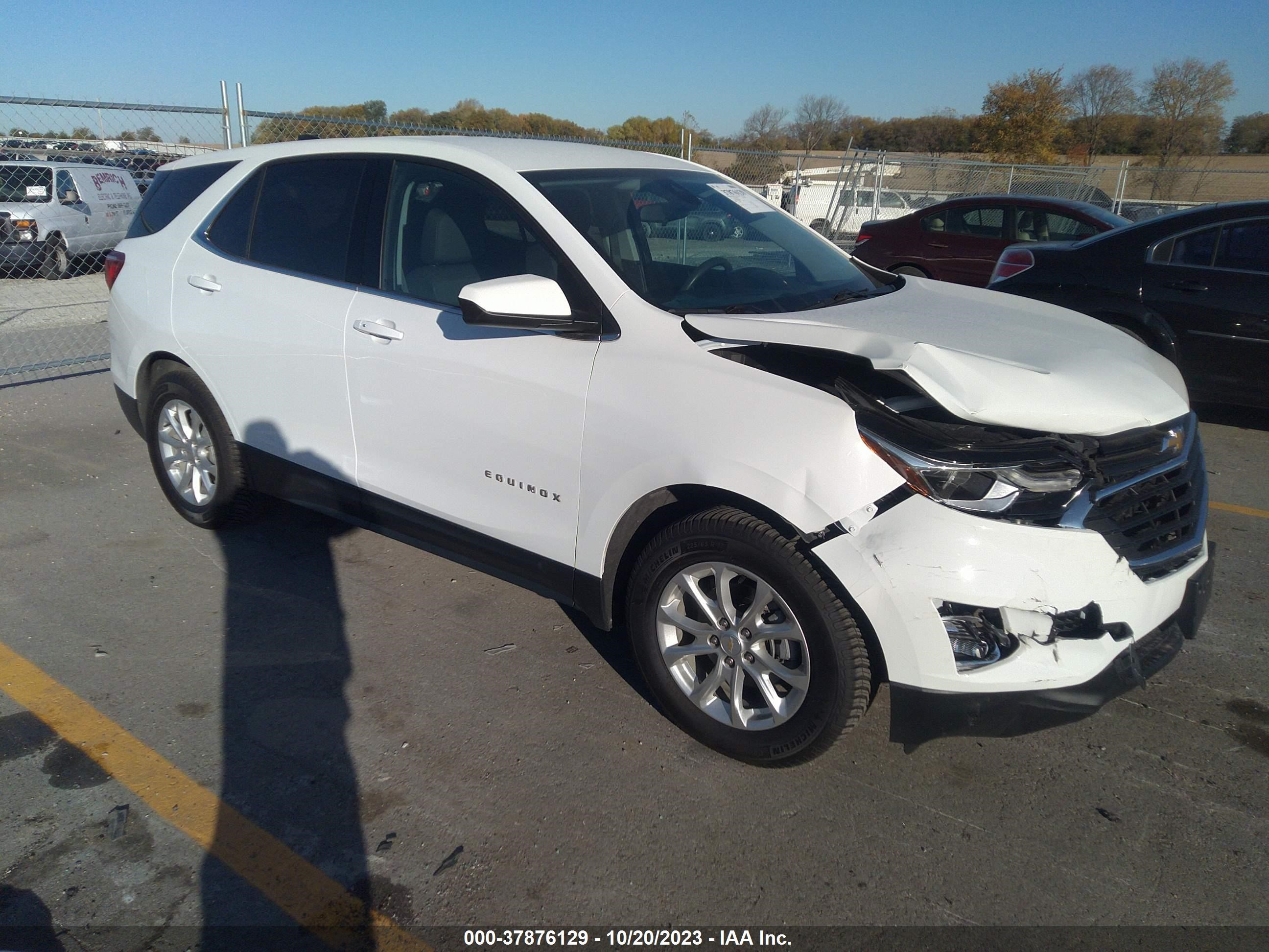 Photo 12 VIN: 2GNAZUEV4L6125100 - CHEVROLET EQUINOX 