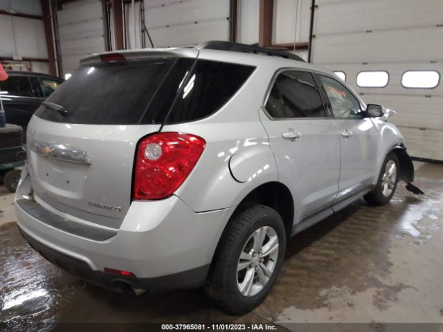 Photo 3 VIN: 2GNFLBE32F6241646 - CHEVROLET EQUINOX 