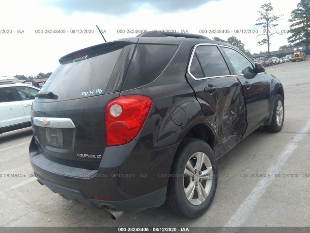 Photo 3 VIN: 2GNFLBE34F6339979 - CHEVROLET EQUINOX 