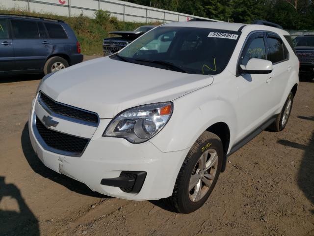 Photo 1 VIN: 2GNFLBE35E6284120 - CHEVROLET EQUINOX LT 