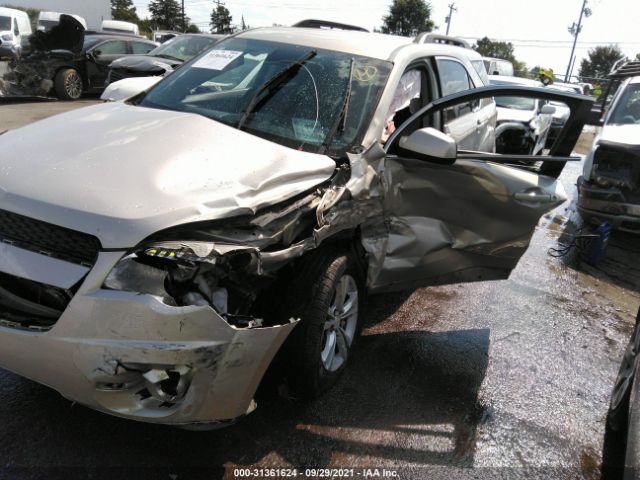 Photo 5 VIN: 2GNFLBE37F6146600 - CHEVROLET EQUINOX 