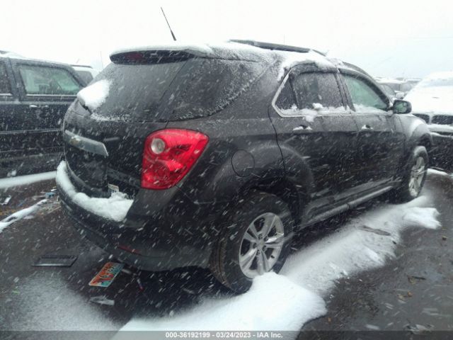 Photo 3 VIN: 2GNFLEEK1D6127093 - CHEVROLET EQUINOX 