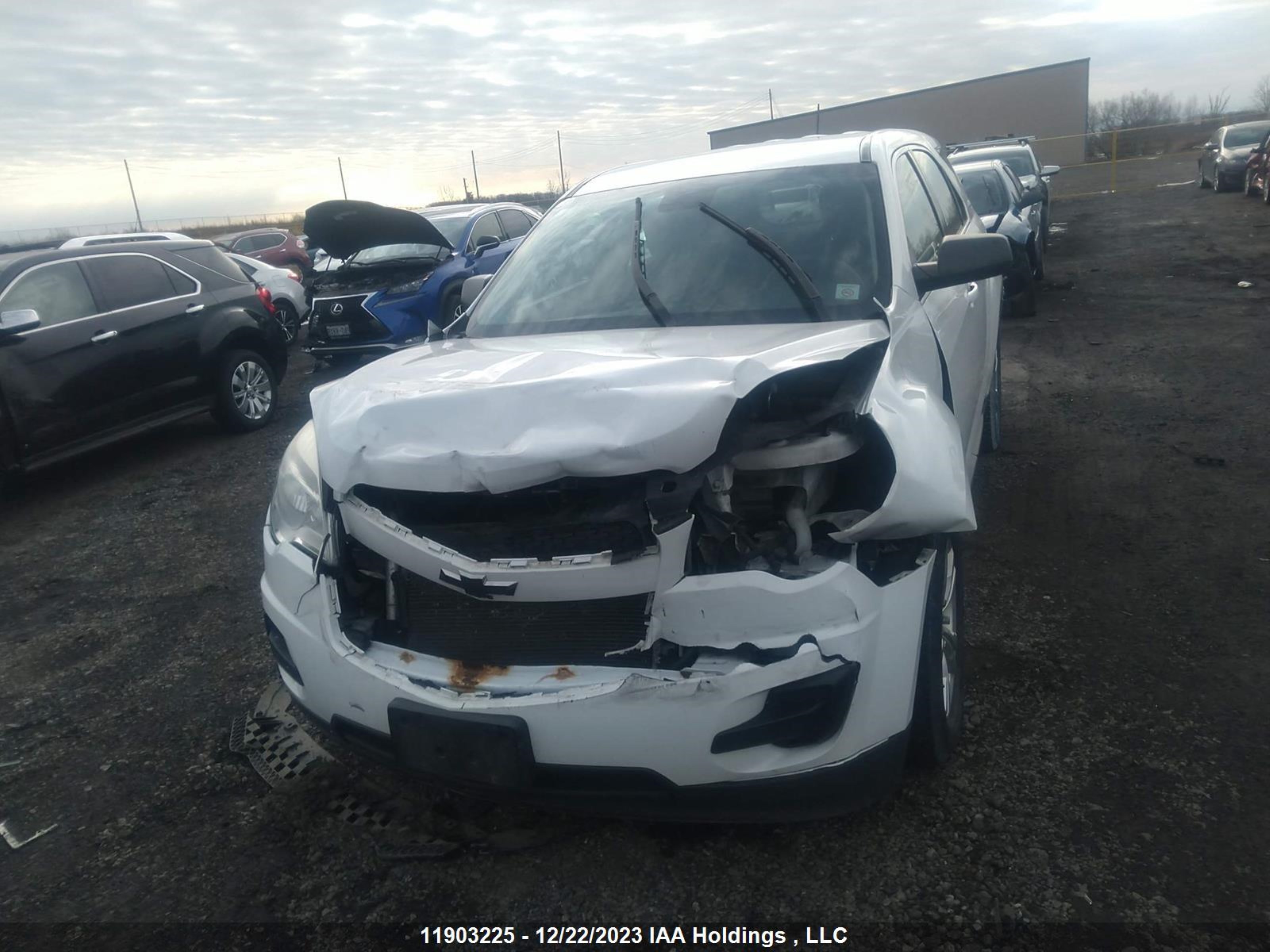 Photo 5 VIN: 2GNFLEEK1F6145595 - CHEVROLET EQUINOX 