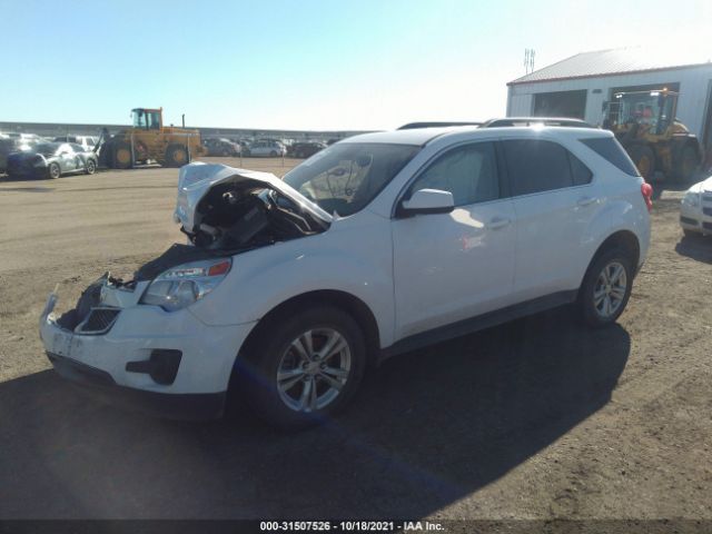 Photo 1 VIN: 2GNFLEEK6D6206520 - CHEVROLET EQUINOX 