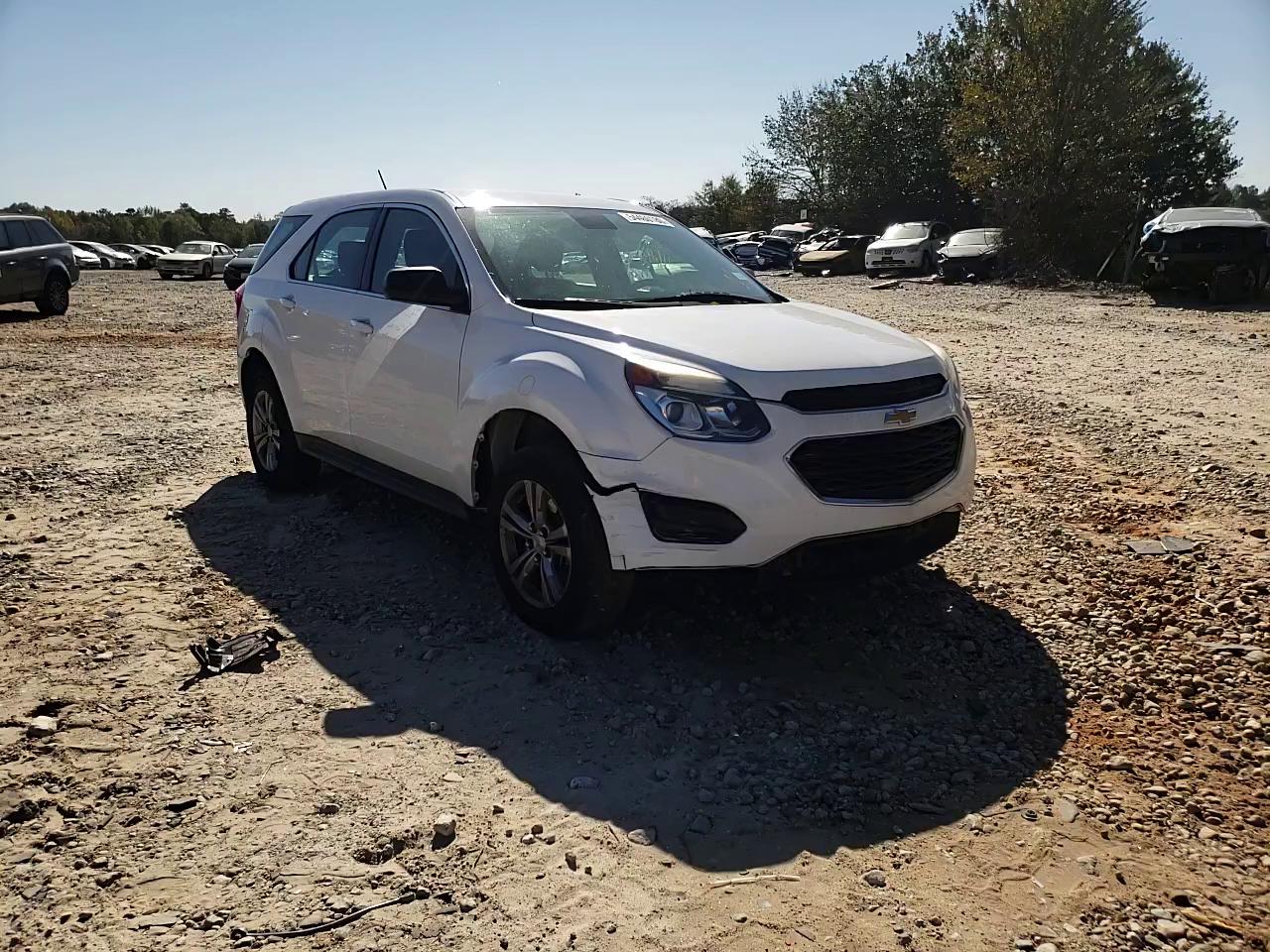 Photo 10 VIN: 2GNFLEEK6G6106664 - CHEVROLET EQUINOX LS 