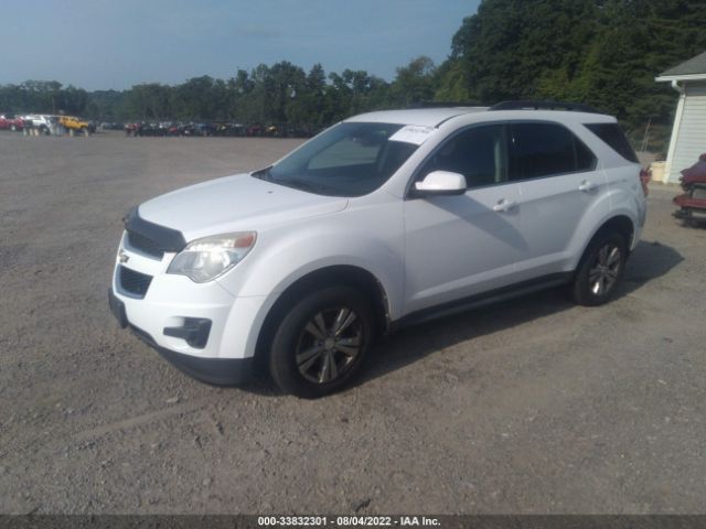 Photo 1 VIN: 2GNFLEEK7C6288448 - CHEVROLET EQUINOX 