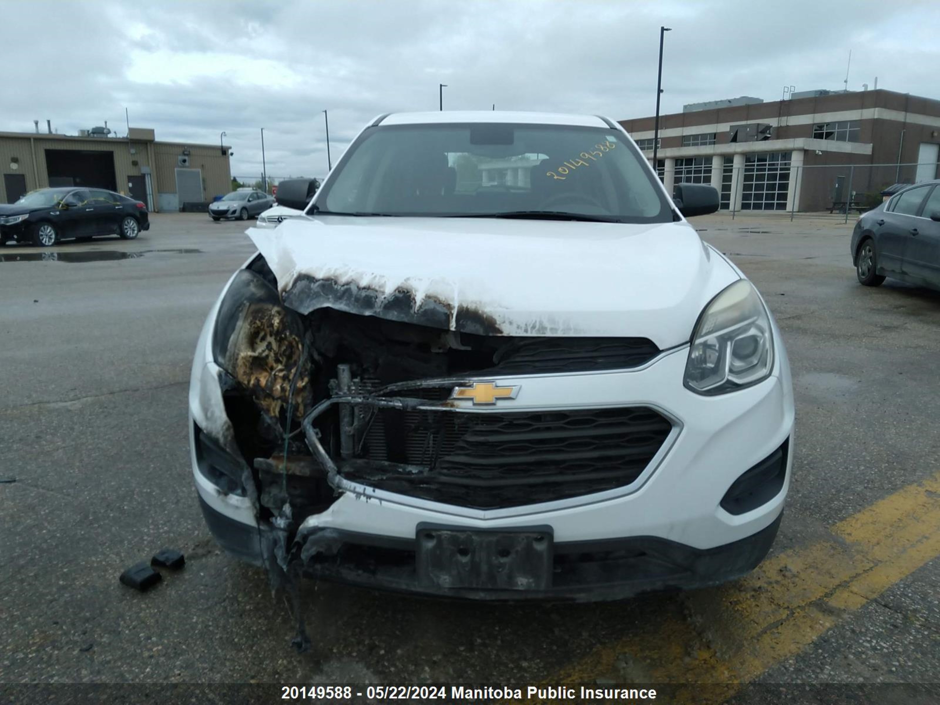 Photo 11 VIN: 2GNFLEEK7G6202240 - CHEVROLET EQUINOX 