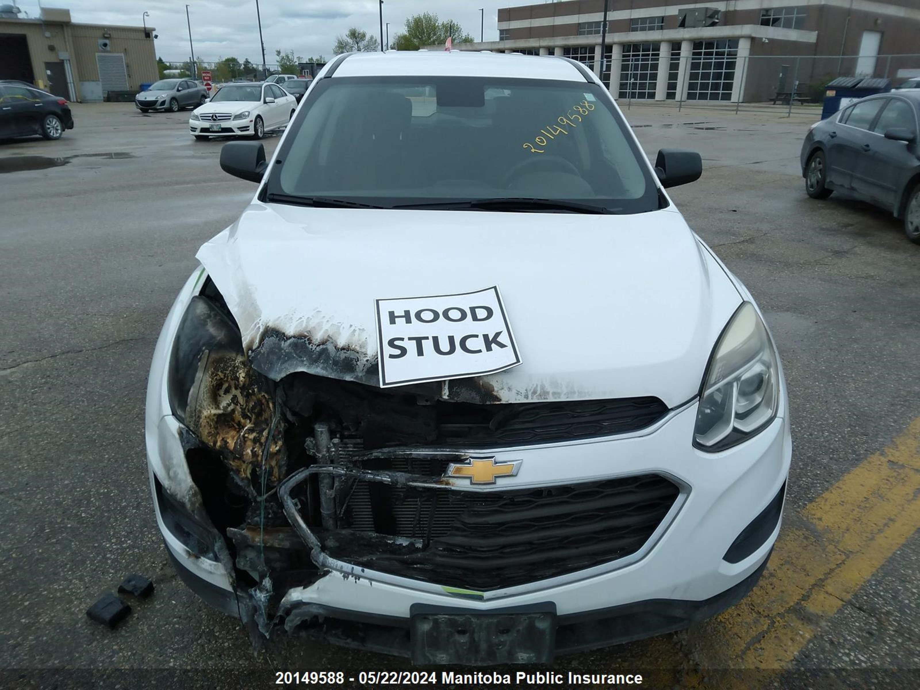 Photo 9 VIN: 2GNFLEEK7G6202240 - CHEVROLET EQUINOX 