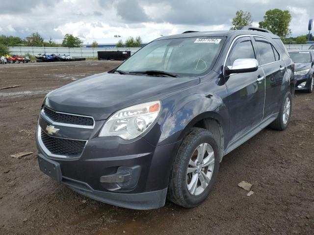 Photo 1 VIN: 2GNFLEEK8D6133442 - CHEVROLET EQUINOX 