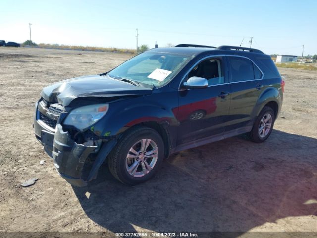 Photo 1 VIN: 2GNFLEEK8D6138186 - CHEVROLET EQUINOX 