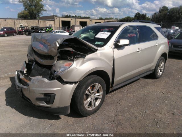 Photo 1 VIN: 2GNFLEEK8D6299783 - CHEVROLET EQUINOX 