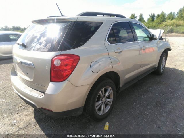 Photo 3 VIN: 2GNFLEEK8D6299783 - CHEVROLET EQUINOX 