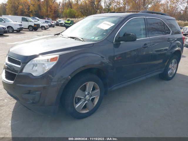 Photo 1 VIN: 2GNFLEEKXD6231565 - CHEVROLET EQUINOX 