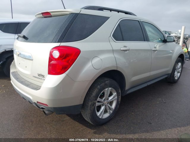 Photo 3 VIN: 2GNFLFE38F6279261 - CHEVROLET EQUINOX 