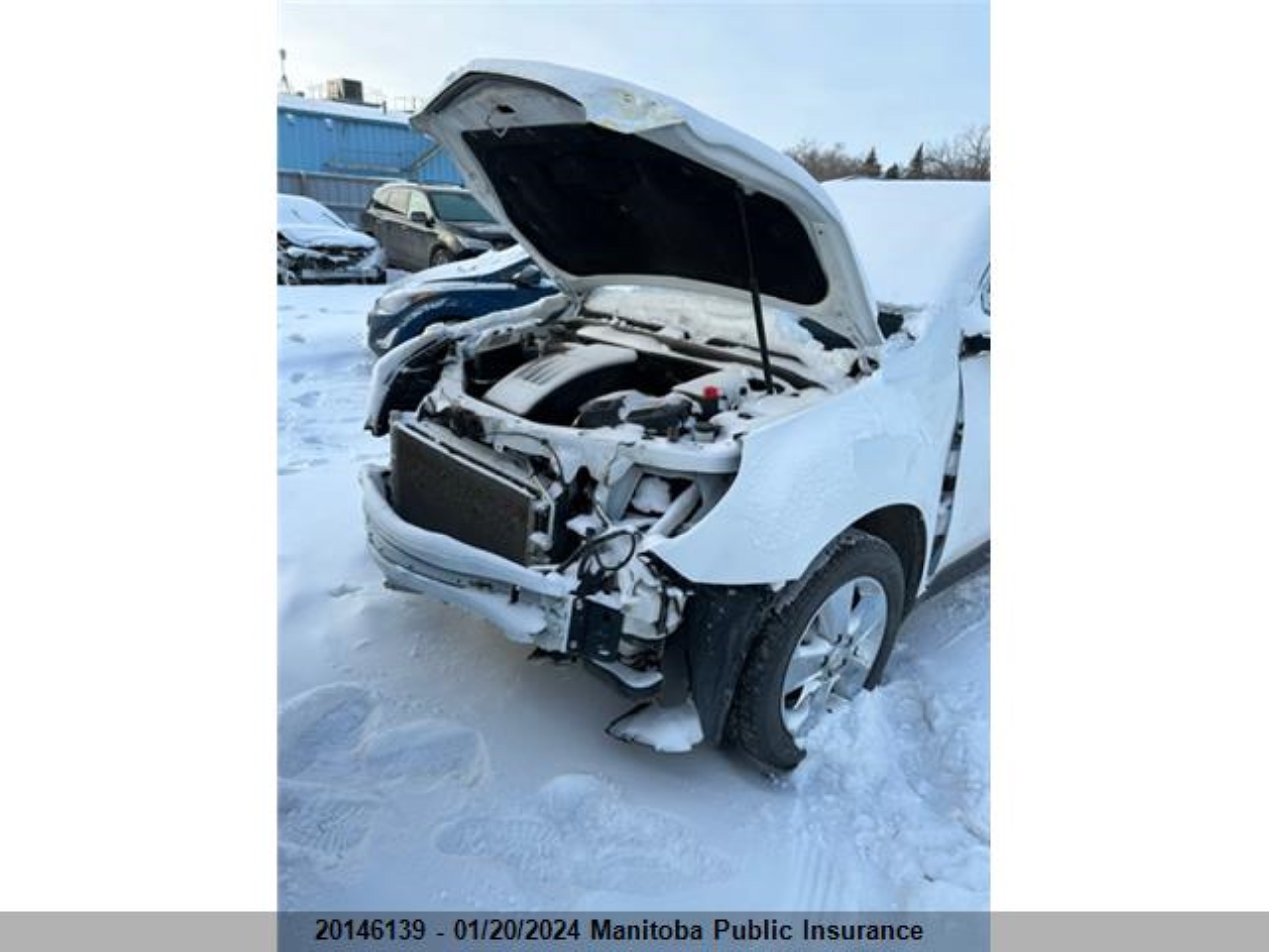 Photo 1 VIN: 2GNFLFEK9E6293238 - CHEVROLET EQUINOX 