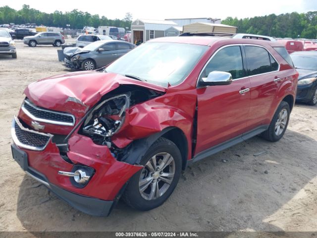 Photo 1 VIN: 2GNFLGE33D6116097 - CHEVROLET EQUINOX 