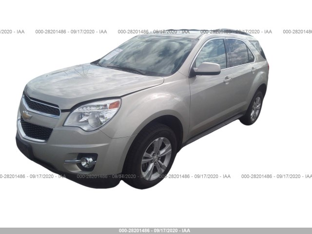 Photo 1 VIN: 2GNFLGE34F6218236 - CHEVROLET EQUINOX 