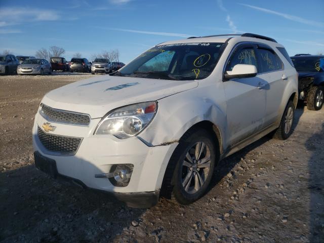 Photo 1 VIN: 2GNFLGE35E6169255 - CHEVROLET EQUINOX LT 