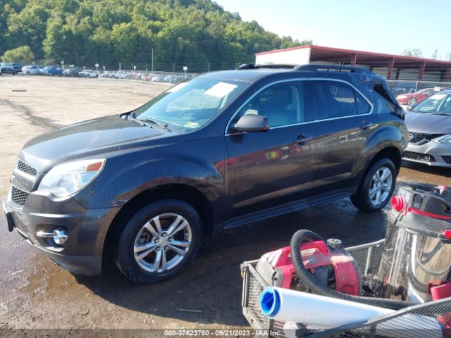 Photo 1 VIN: 2GNFLGE36E6239734 - CHEVROLET EQUINOX 