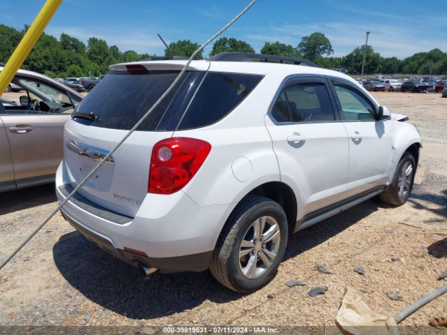 Photo 3 VIN: 2GNFLGE3XF6410261 - CHEVROLET EQUINOX 