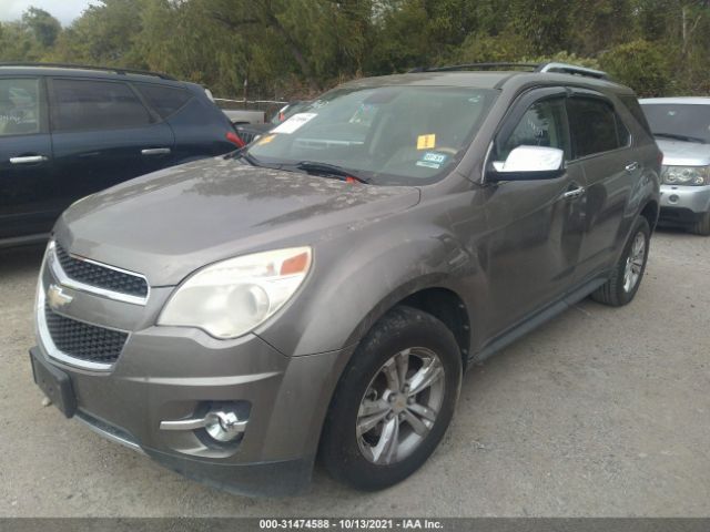 Photo 1 VIN: 2GNFLGEK1C6119439 - CHEVROLET EQUINOX 