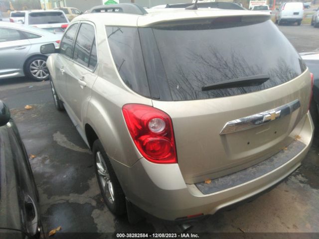 Photo 2 VIN: 2GNFLNE30D6178125 - CHEVROLET EQUINOX 