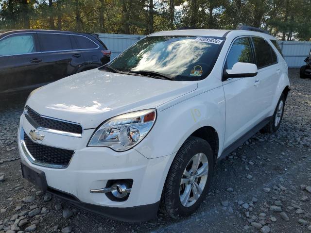 Photo 1 VIN: 2GNFLNE30D6215755 - CHEVROLET EQUINOX LT 