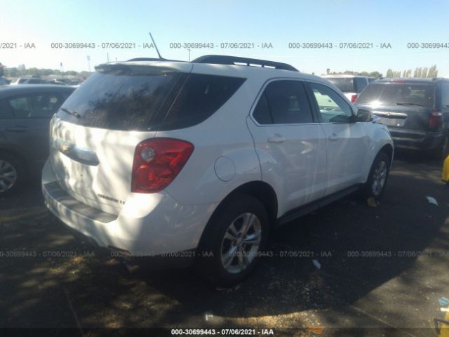 Photo 3 VIN: 2GNFLNE31D6426883 - CHEVROLET EQUINOX 