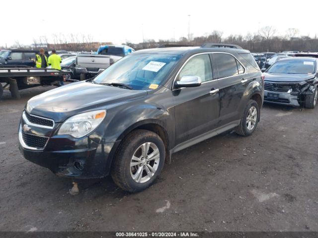 Photo 1 VIN: 2GNFLNE36D6367667 - CHEVROLET EQUINOX 