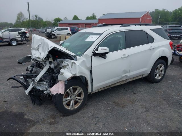 Photo 1 VIN: 2GNFLNE55C6192764 - CHEVROLET EQUINOX 