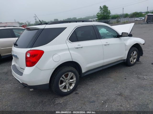 Photo 3 VIN: 2GNFLNE55C6192764 - CHEVROLET EQUINOX 