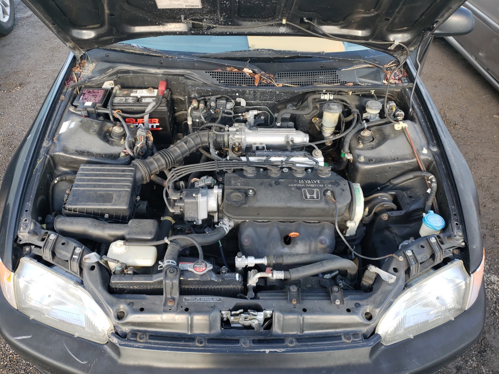 Photo 6 VIN: 2HGEH2350NH542138 - HONDA CIVIC DX 