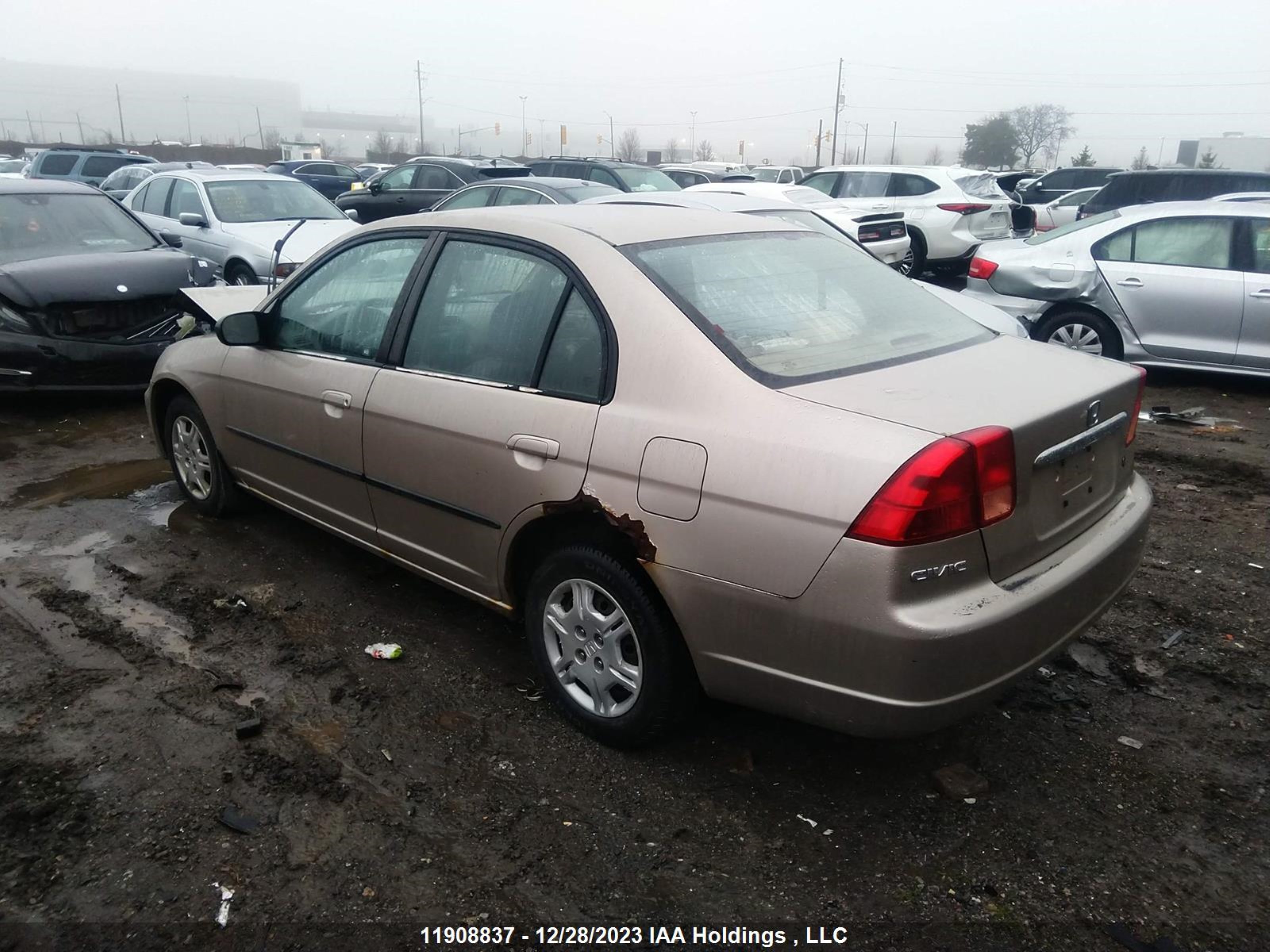 Photo 2 VIN: 2HGES16442H908404 - HONDA CIVIC 