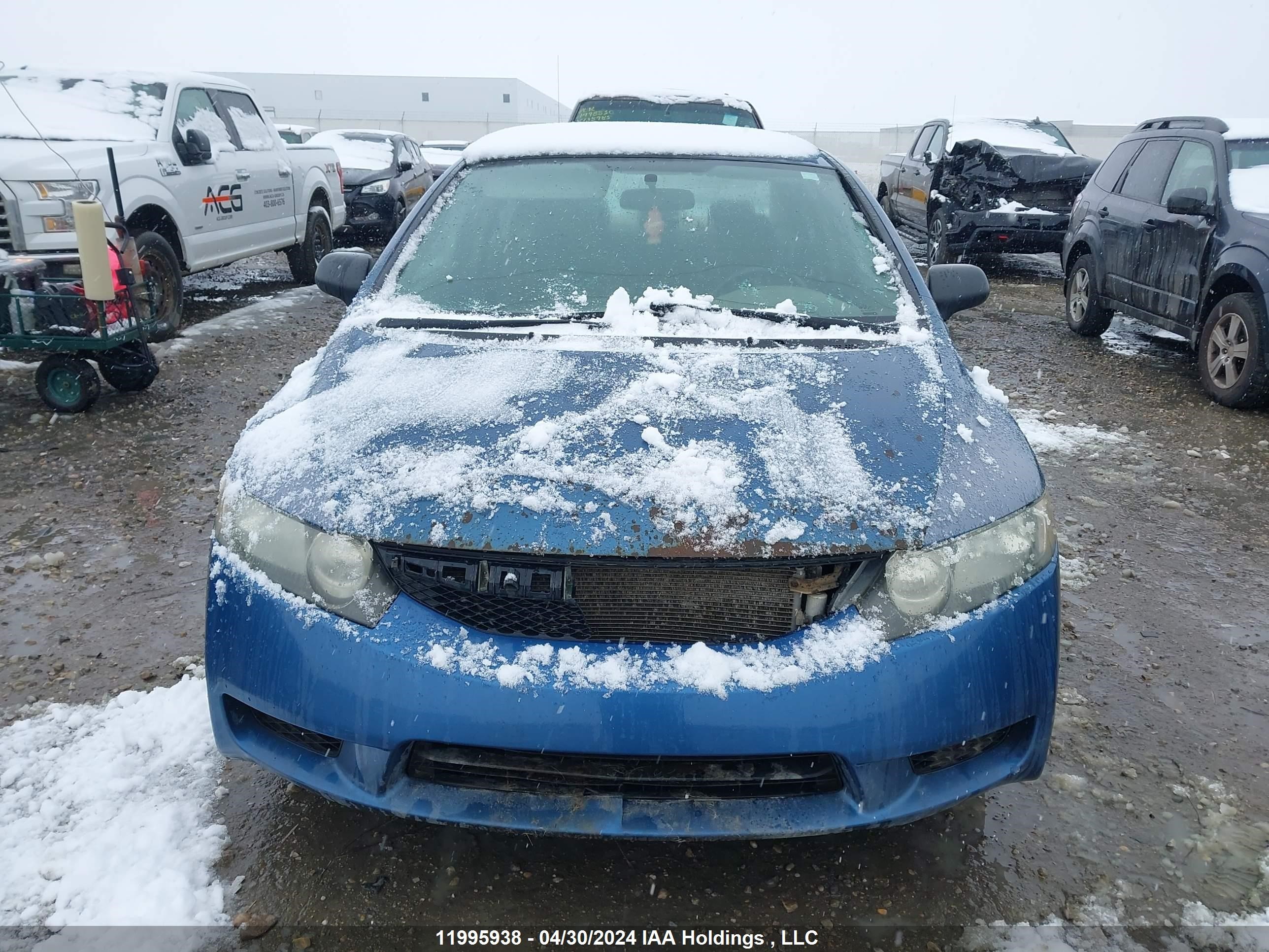 Photo 12 VIN: 2HGFA15499H034506 - HONDA CIVIC 