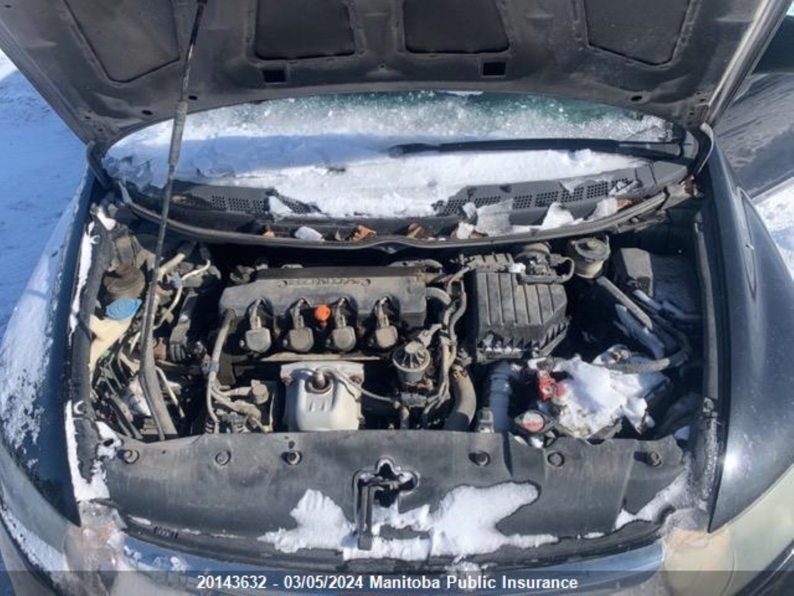 Photo 9 VIN: 2HGFA16386H013535 - HONDA CIVIC 