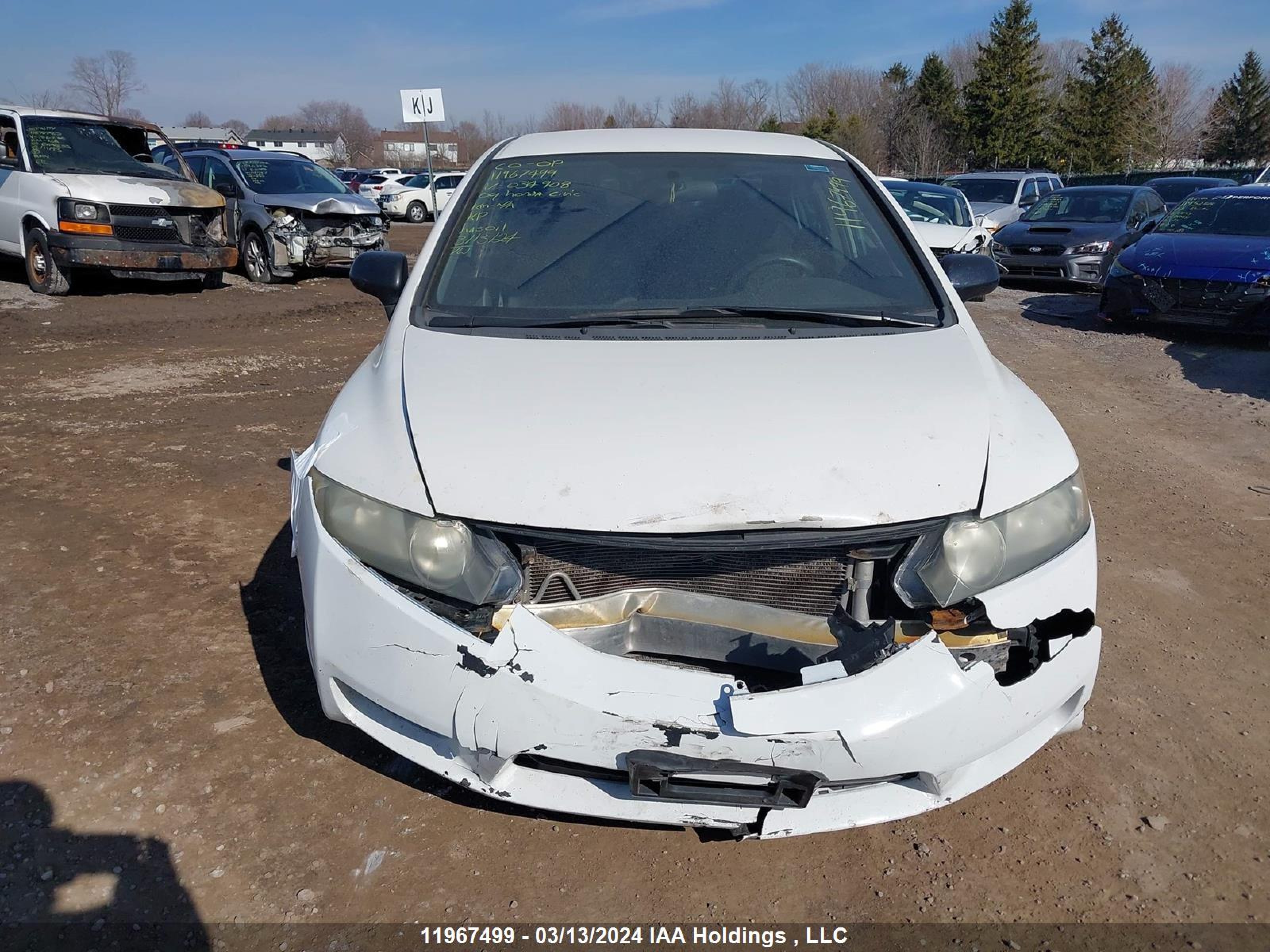 Photo 11 VIN: 2HGFA16499H034908 - HONDA CIVIC 