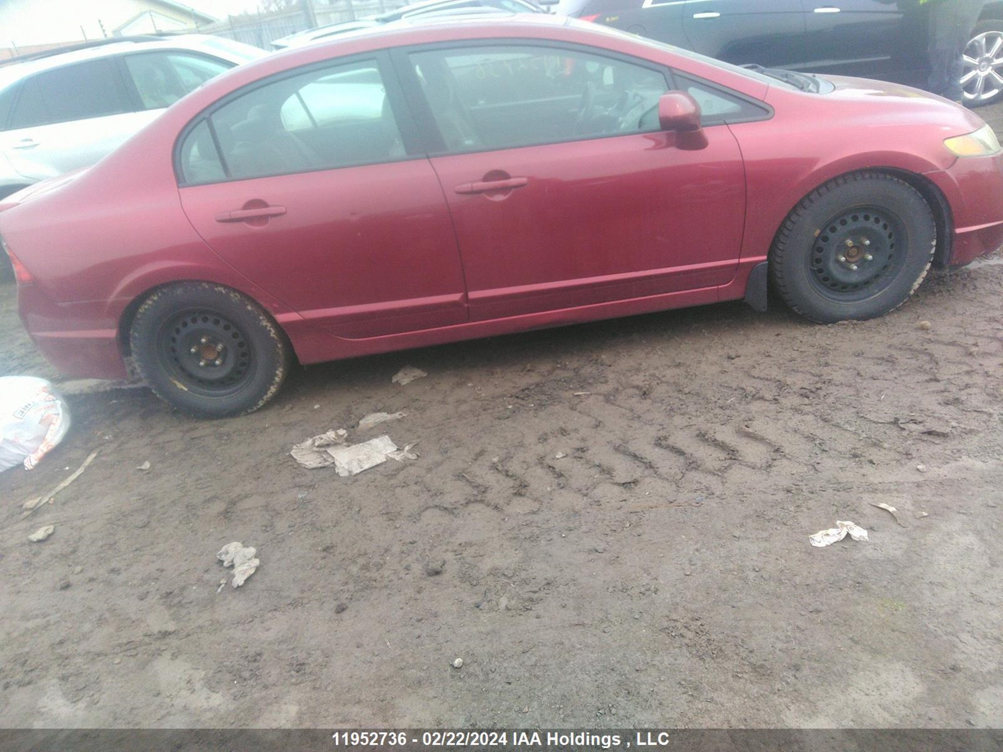 Photo 12 VIN: 2HGFA16568H003042 - HONDA CIVIC 