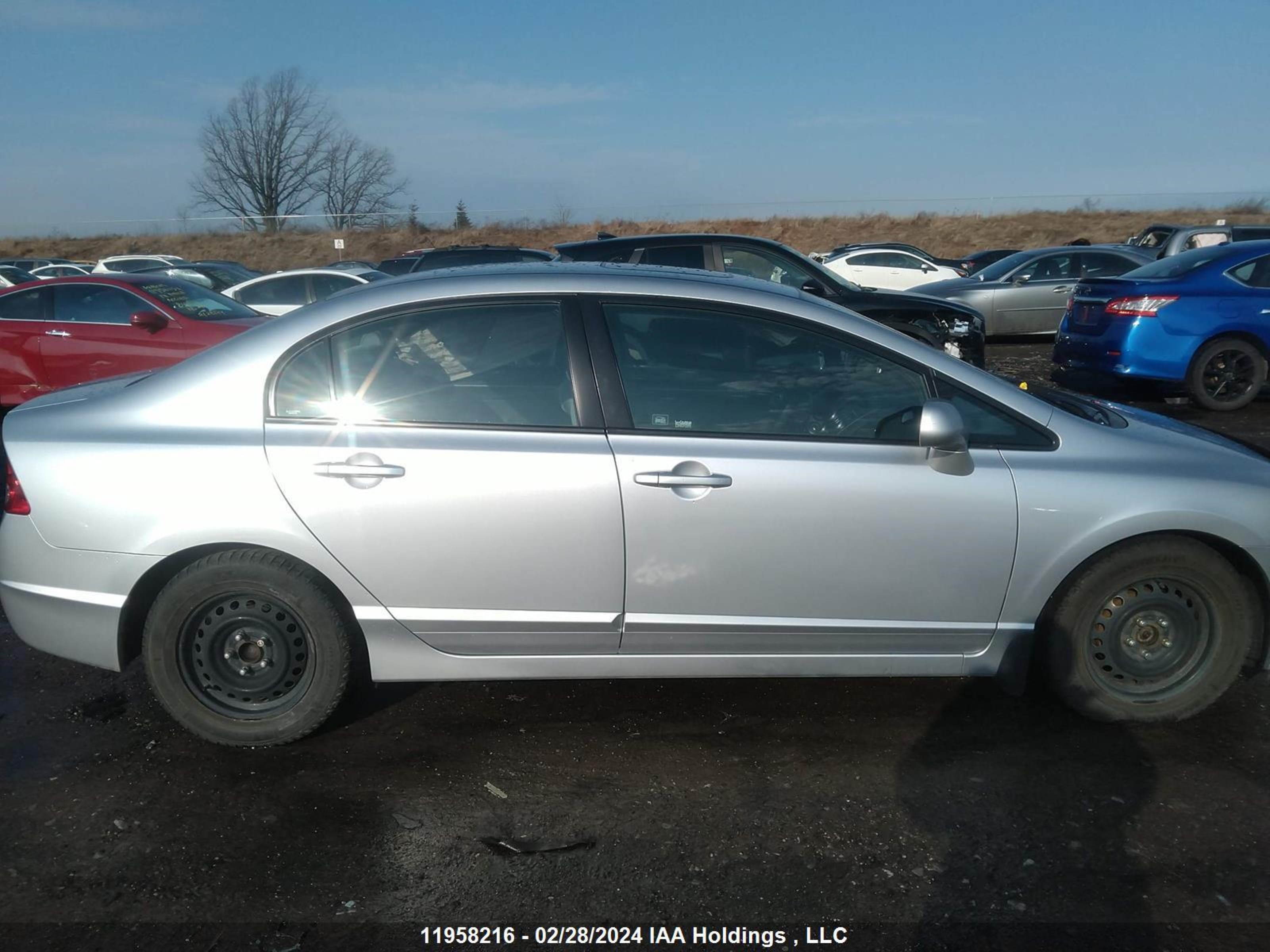 Photo 12 VIN: 2HGFA16856H023886 - HONDA CIVIC 