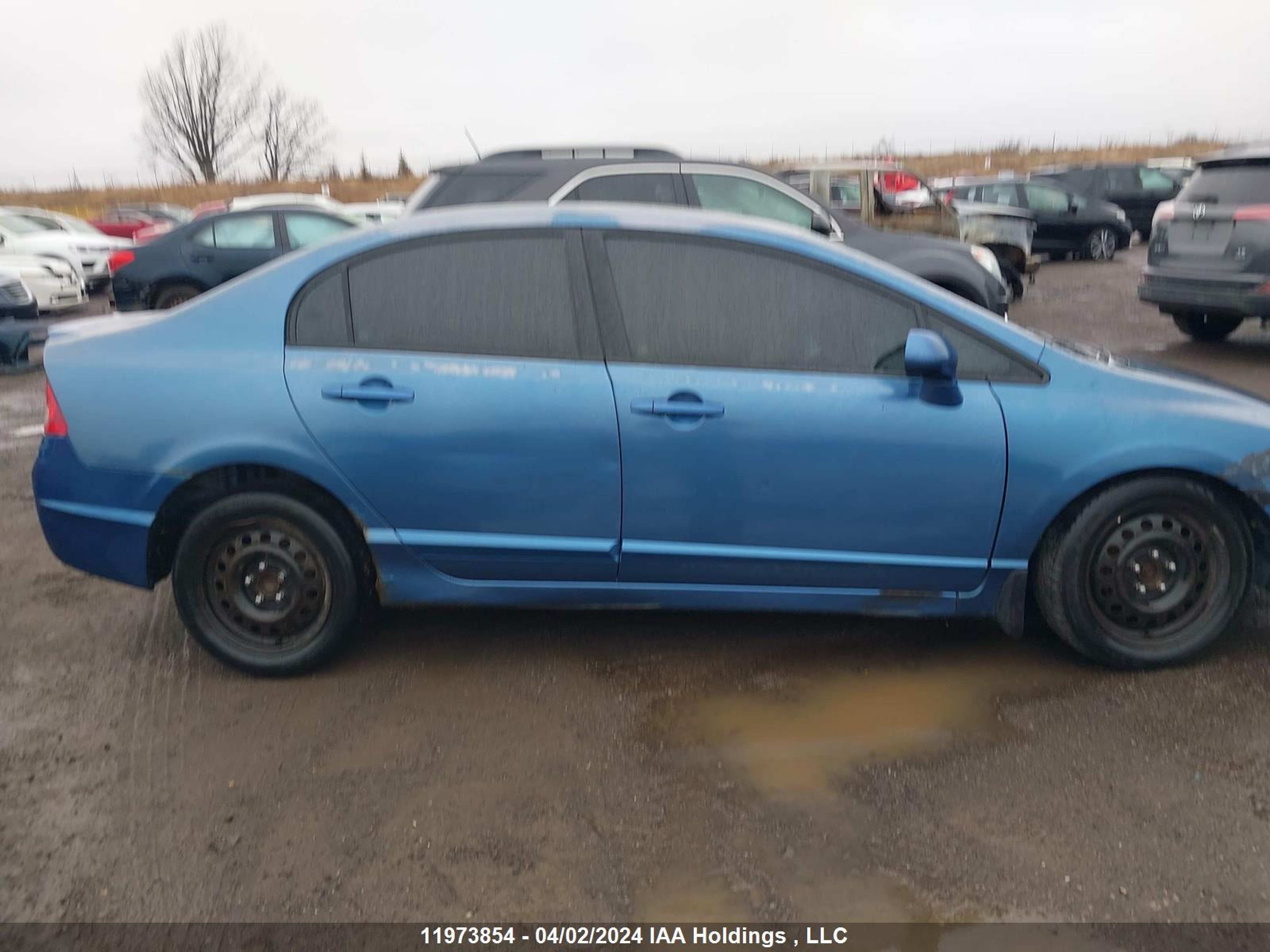 Photo 10 VIN: 2HGFA16988H001943 - HONDA CIVIC 