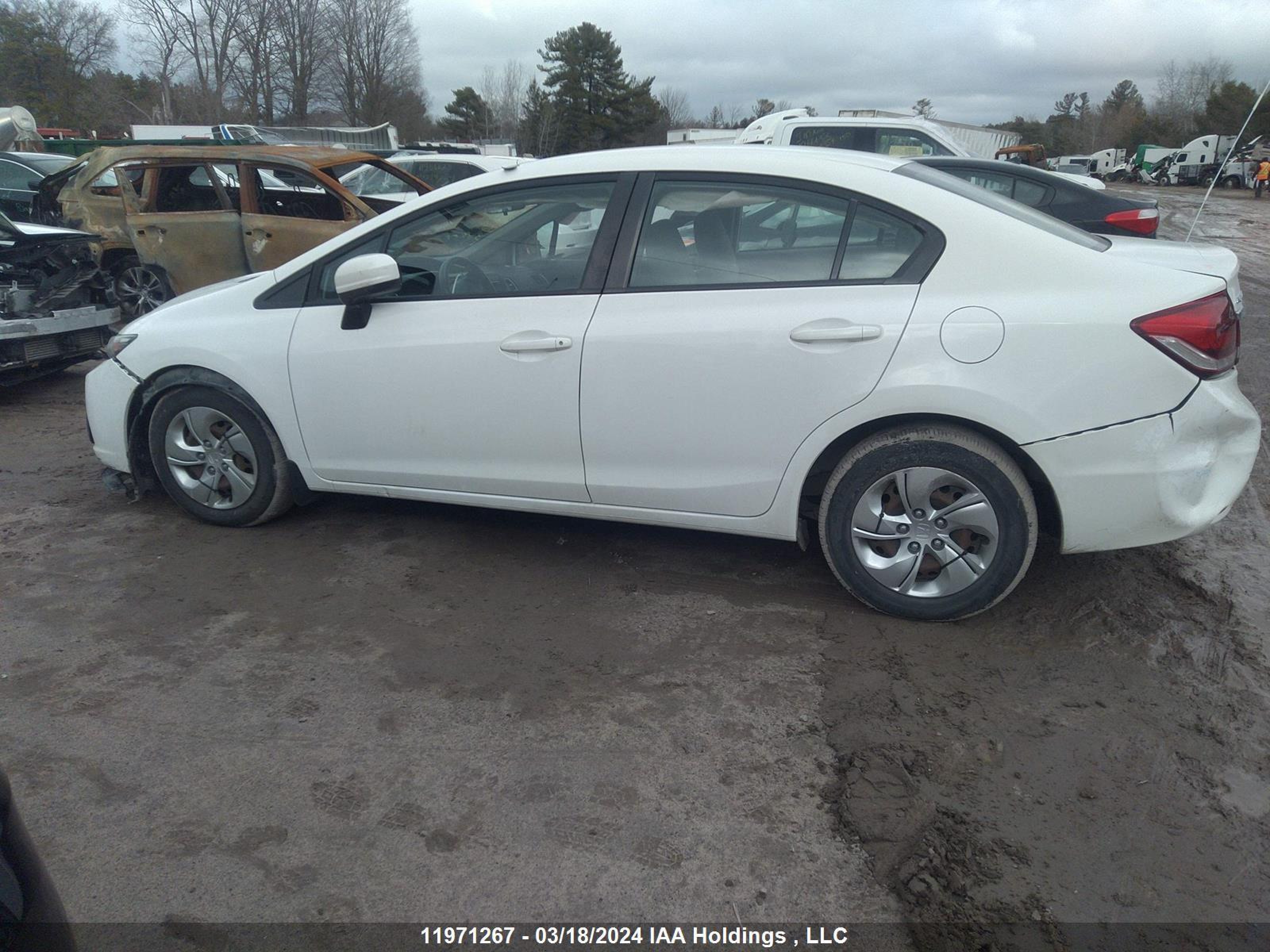 Photo 13 VIN: 2HGFB2F46FH053303 - HONDA CIVIC 