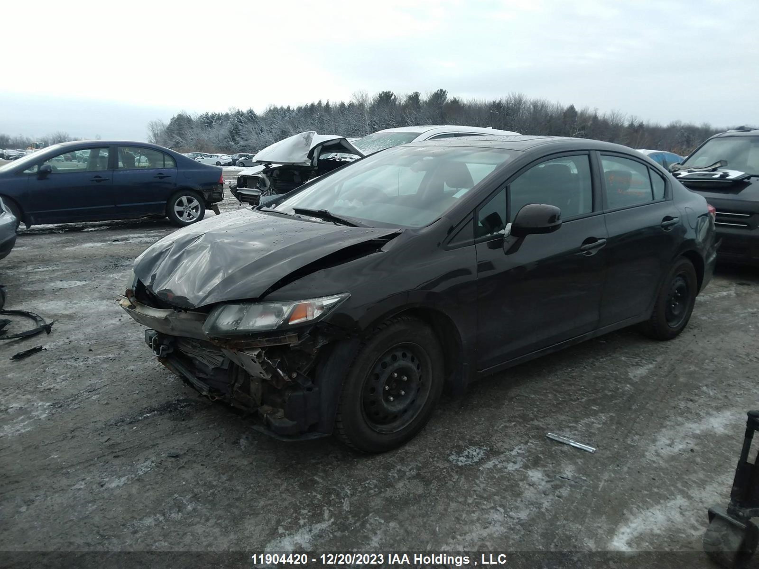 Photo 1 VIN: 2HGFB2F51DH017329 - HONDA CIVIC 