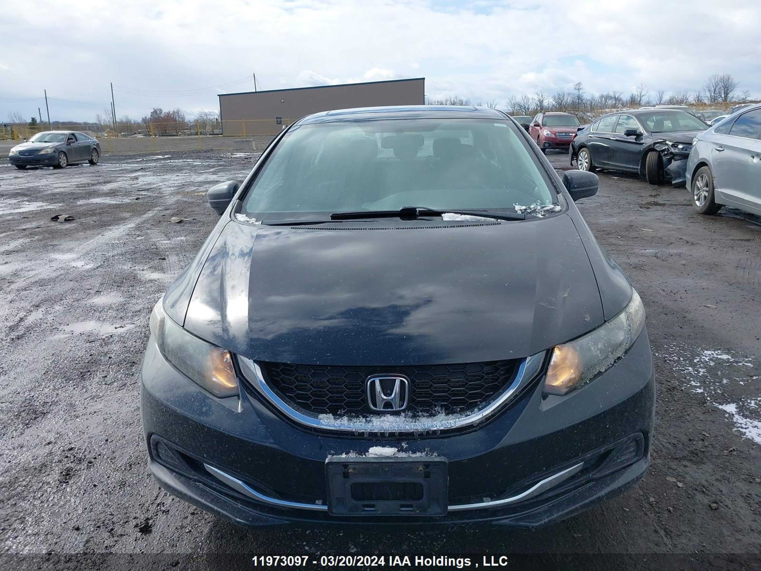 Photo 11 VIN: 2HGFB2F53EH022663 - HONDA CIVIC 