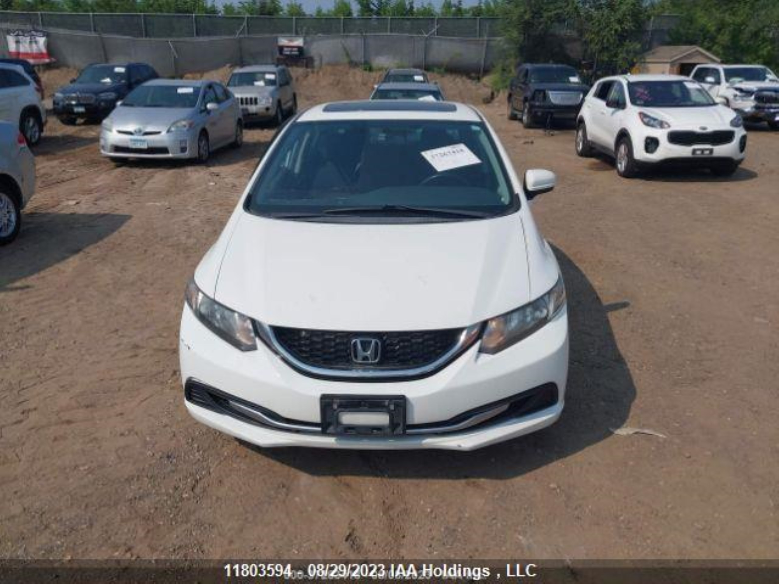 Photo 13 VIN: 2HGFB2F57EH007342 - HONDA CIVIC 