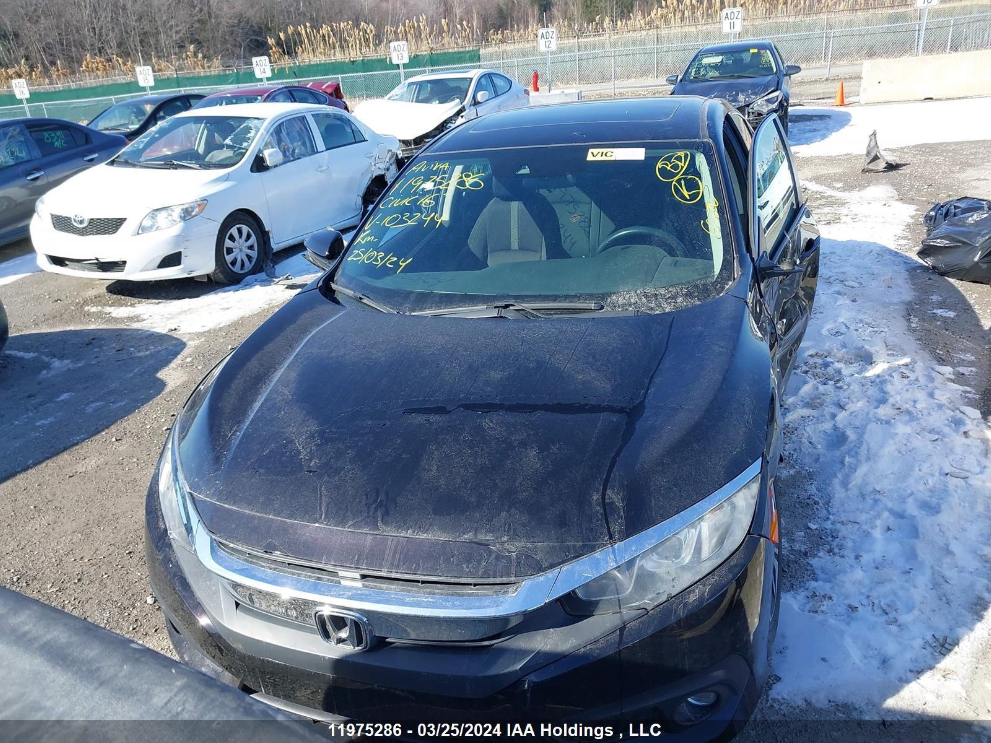 Photo 11 VIN: 2HGFC1F43GH103244 - HONDA CIVIC 