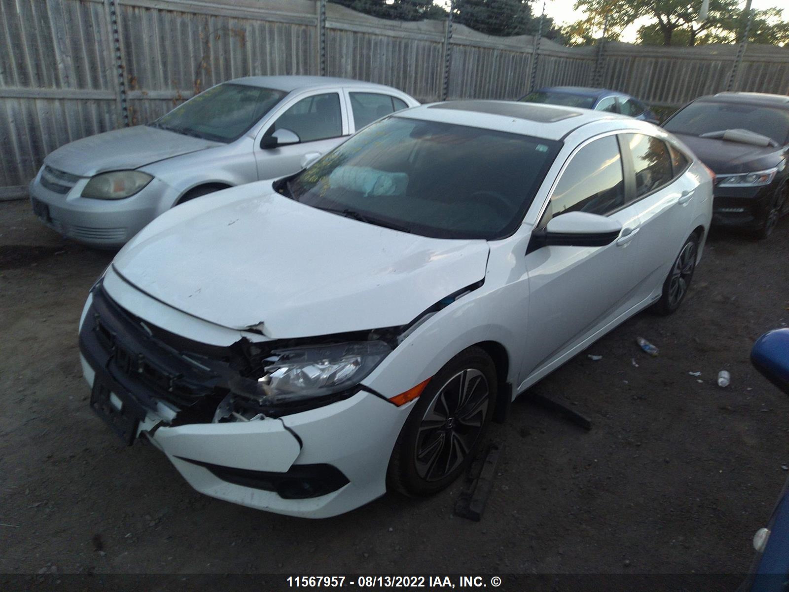 Photo 1 VIN: 2HGFC1F4XHH103789 - HONDA CIVIC 