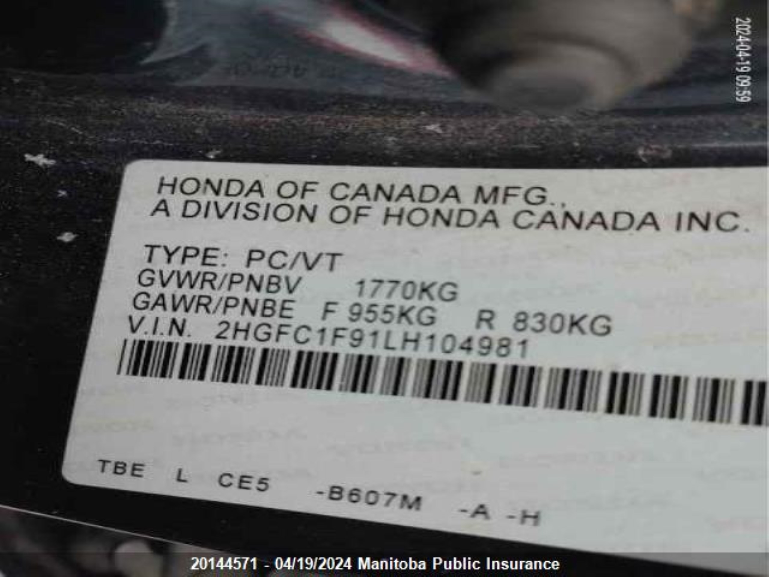 Photo 8 VIN: 2HGFC1F91LH104981 - HONDA CIVIC 