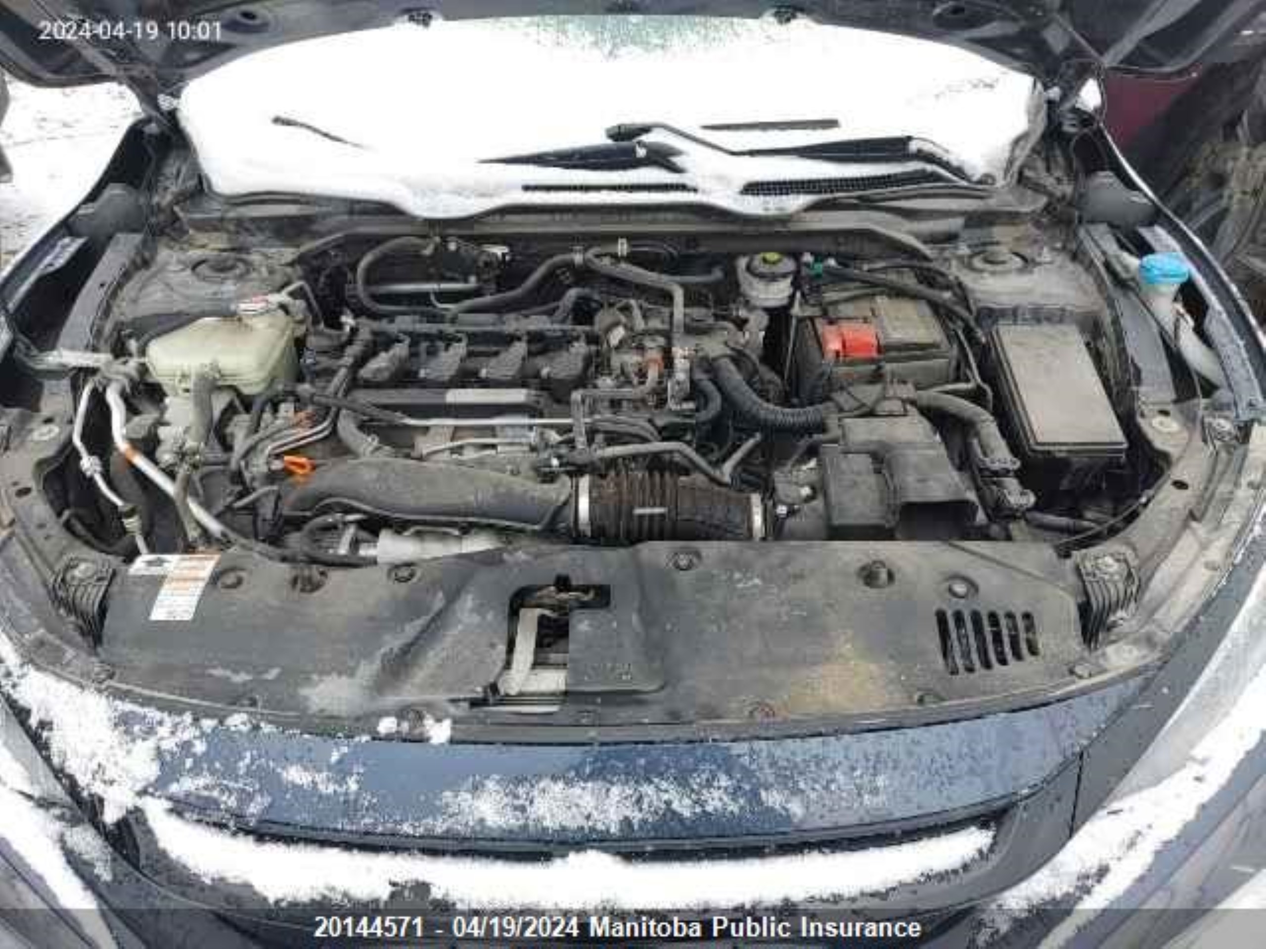 Photo 9 VIN: 2HGFC1F91LH104981 - HONDA CIVIC 