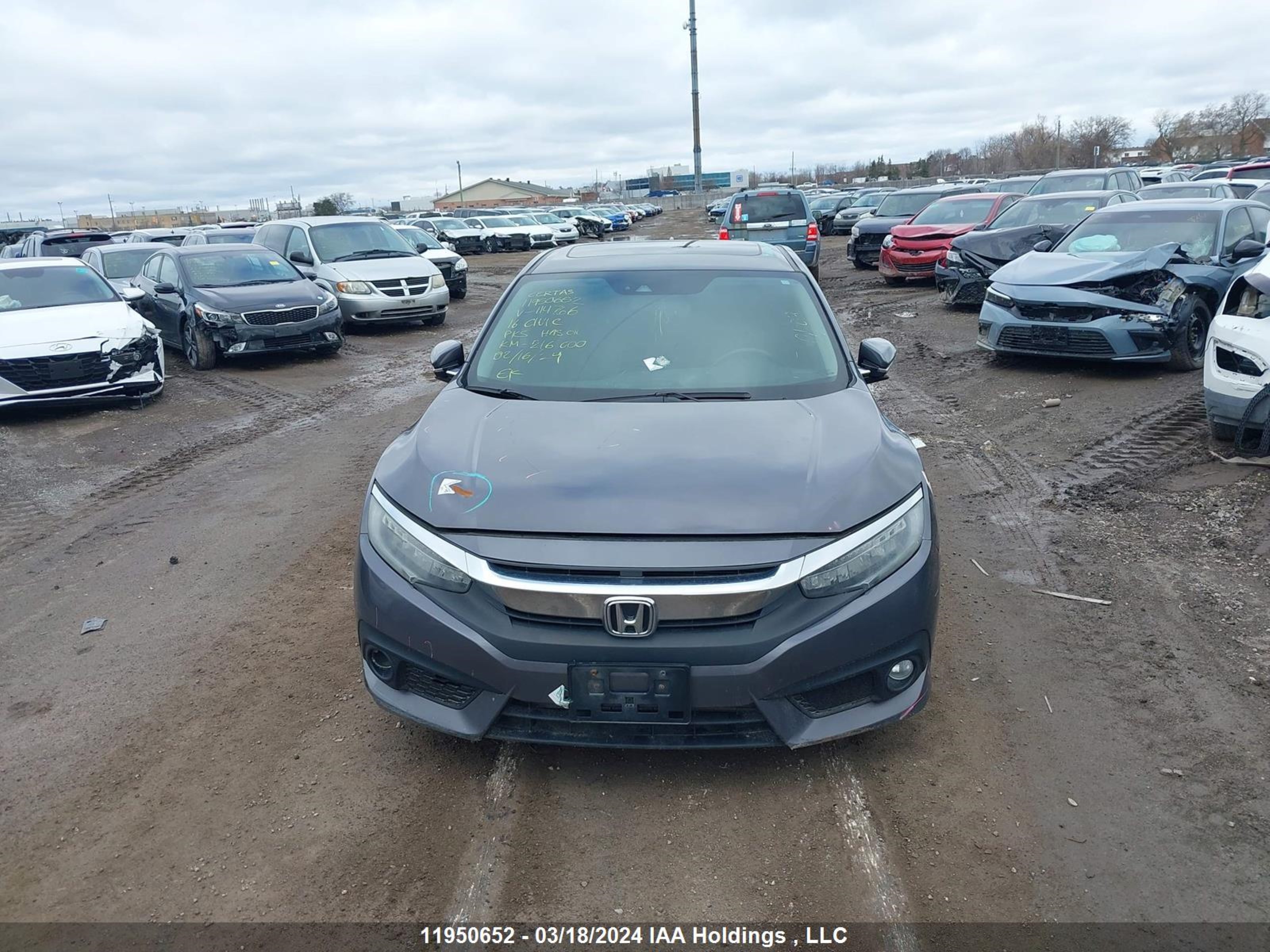 Photo 11 VIN: 2HGFC1F96GH114766 - HONDA CIVIC 