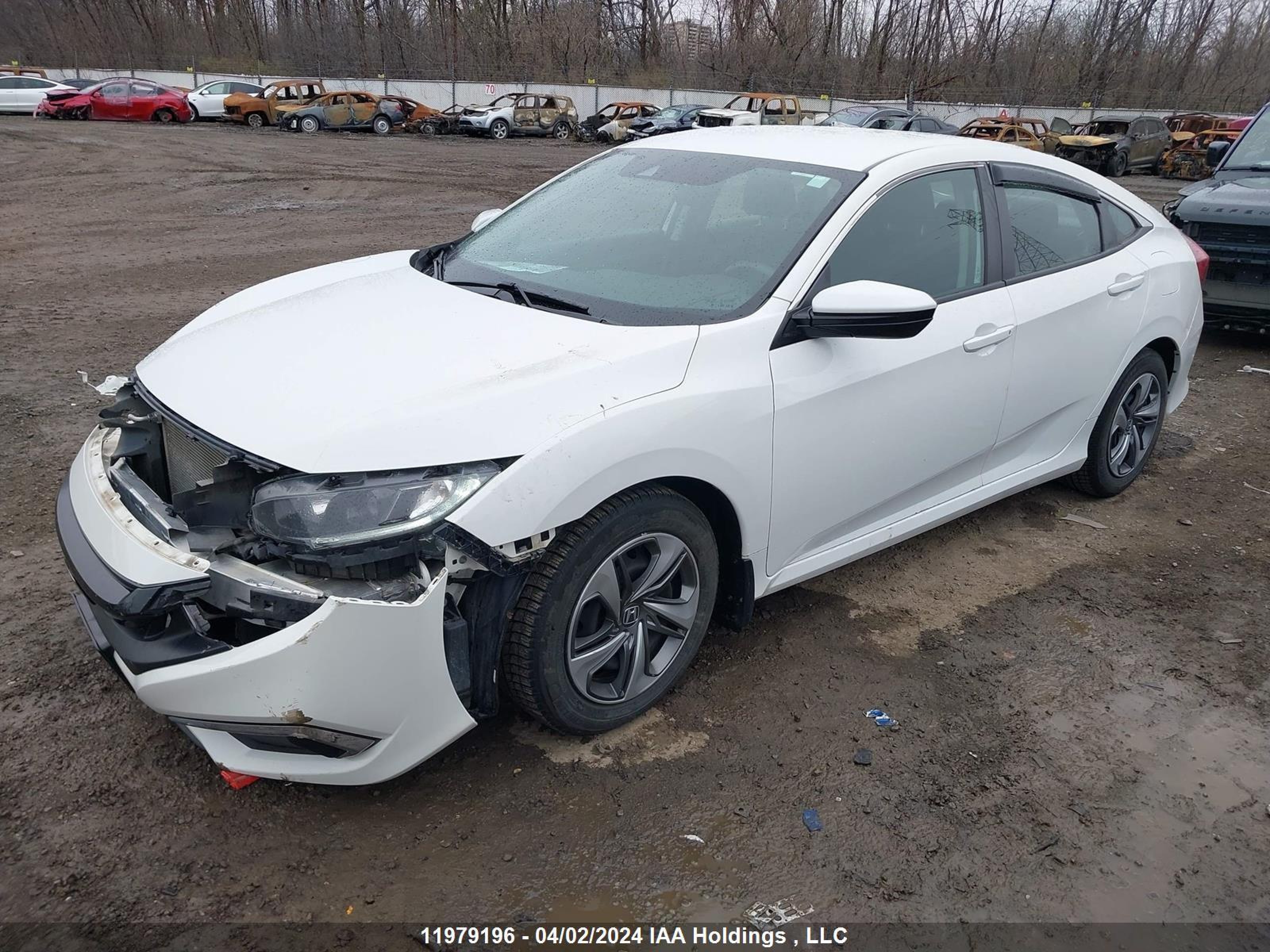 Photo 1 VIN: 2HGFC2F52KH008066 - HONDA CIVIC 